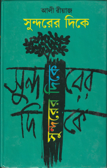 সুন্দরের দিকে