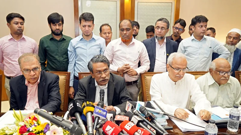 গণতান্ত্রিক সংগ্রামের মাধ্যমে অর্জিত বিজয়কে ভূলুণ্ঠিত করা হয়েছে: আলী রীয়াজ 