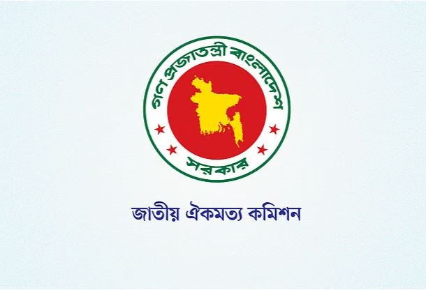 ঐকমত্য যেন প্রকৃতপক্ষেই জাতীয় হয়ে ওঠে: আলী রীয়াজ